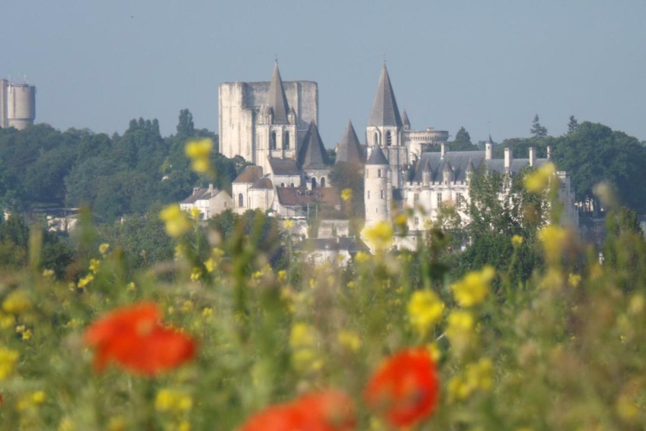 Suite Luzilloise Luzillé Exteriér fotografie